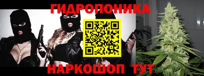 спайс Гагарин
