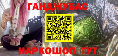 спайс Гагарин